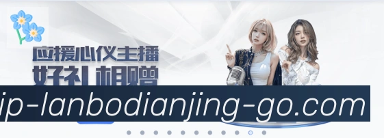 未来规划